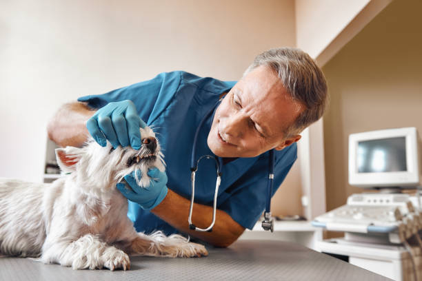 Best 24-Hour Emergency Dental Care in Woodway, TX